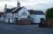 Picture of The White Swan