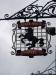 Picture of The Black Horse