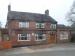 Picture of The New Black Bull