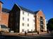 Picture of The Carlton Plume Of Feathers