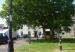 Picture of The Bull Inn
