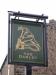 Picture of The Darley