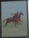 Picture of St Leger Tavern (Biscuit Billy's)