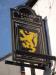 Picture of Yellow Lion