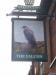Picture of Falcon
