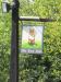 Picture of The Fox