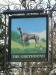 Picture of The Greyhound