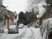 Picture of Red Lion