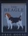 The Beagle