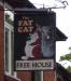 Picture of The Fat Cat