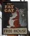Picture of The Fat Cat