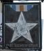 Picture of Silver Star