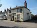 Picture of The Swan