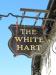 Picture of White Hart
