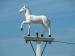 Picture of The White Horse