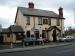 Picture of The Tudor Rose