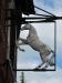 Picture of White Horse Inn