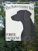 Picture of Greyhound