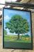 Picture of The Walnut