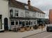 Picture of White Horse