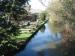 Picture of The White Hart