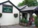 Picture of Ego at The Green Dragon
