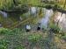 Picture of The Black Swan