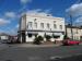 Picture of Golden Lion