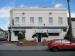 Picture of Golden Lion