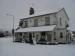 Picture of The Cricketers