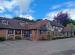 Peacock Lodge