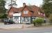 Picture of The Yew Tree