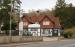 The Yew Tree