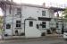 Picture of Black Bull