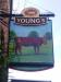 Picture of Red Cow
