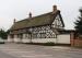The White Lion