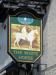 Picture of White Horse