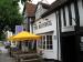 Picture of The Bluebell