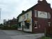 Picture of The Swan