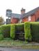 Picture of The Snowdrop Inn