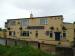 The Blue Pig