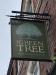 Picture of The Green Tree