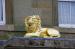 Picture of The Golden Lion Hotel