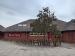 The Elm Tree picture