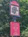 The Elm Tree picture