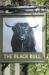 Picture of The Black Bull