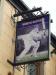 Picture of The Cricketers