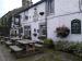 Picture of Old White Bear
