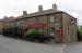 The White Lion