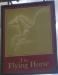Picture of Flying Horse